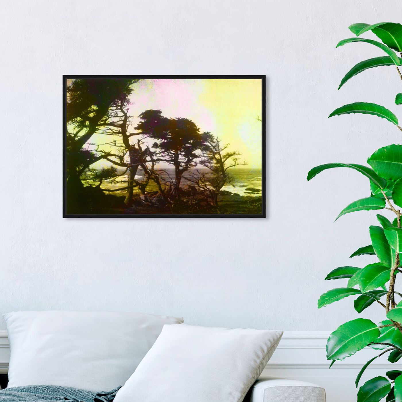 Hanging view of California Cypress 1 featuring nature and landscape and forest landscapes art.