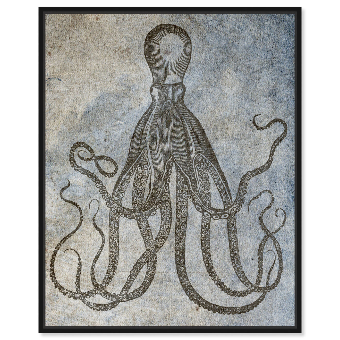 Front view of Octopus II featuring nautical and coastal and marine life art.