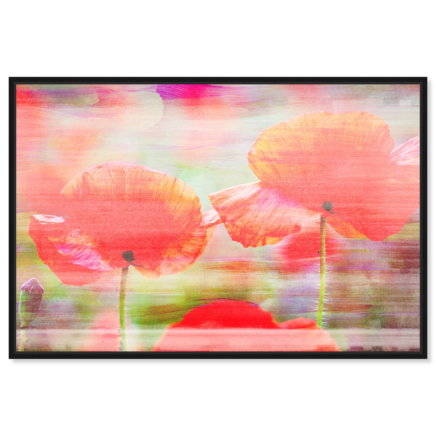 Front view of Poppy Bloom featuring floral and botanical and florals art.