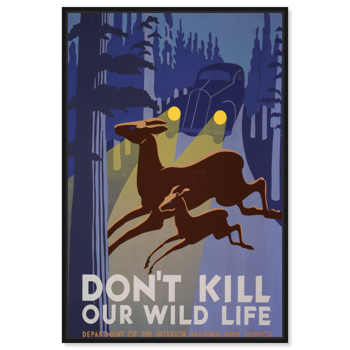 Front view of Don't Kill Our Wild Life featuring advertising and posters art.