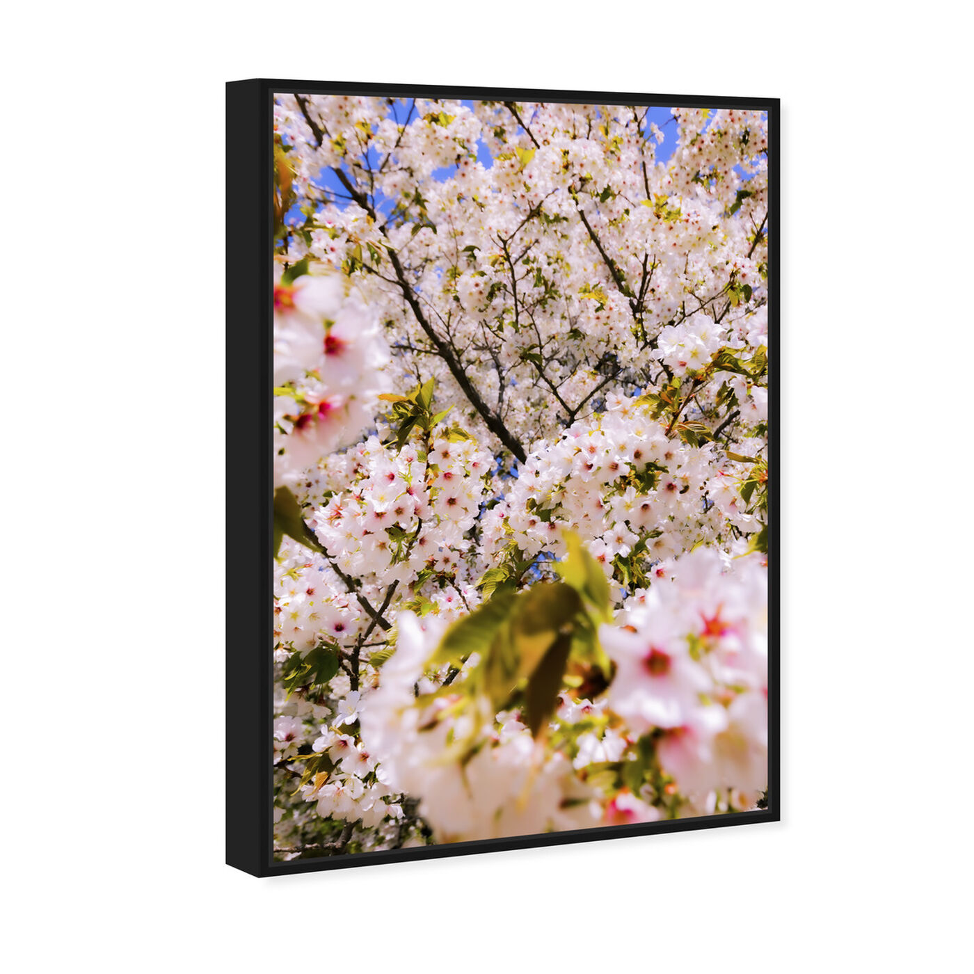 Angled view of Curro Cardenal - Cherries Beautiful featuring floral and botanical and gardens art.