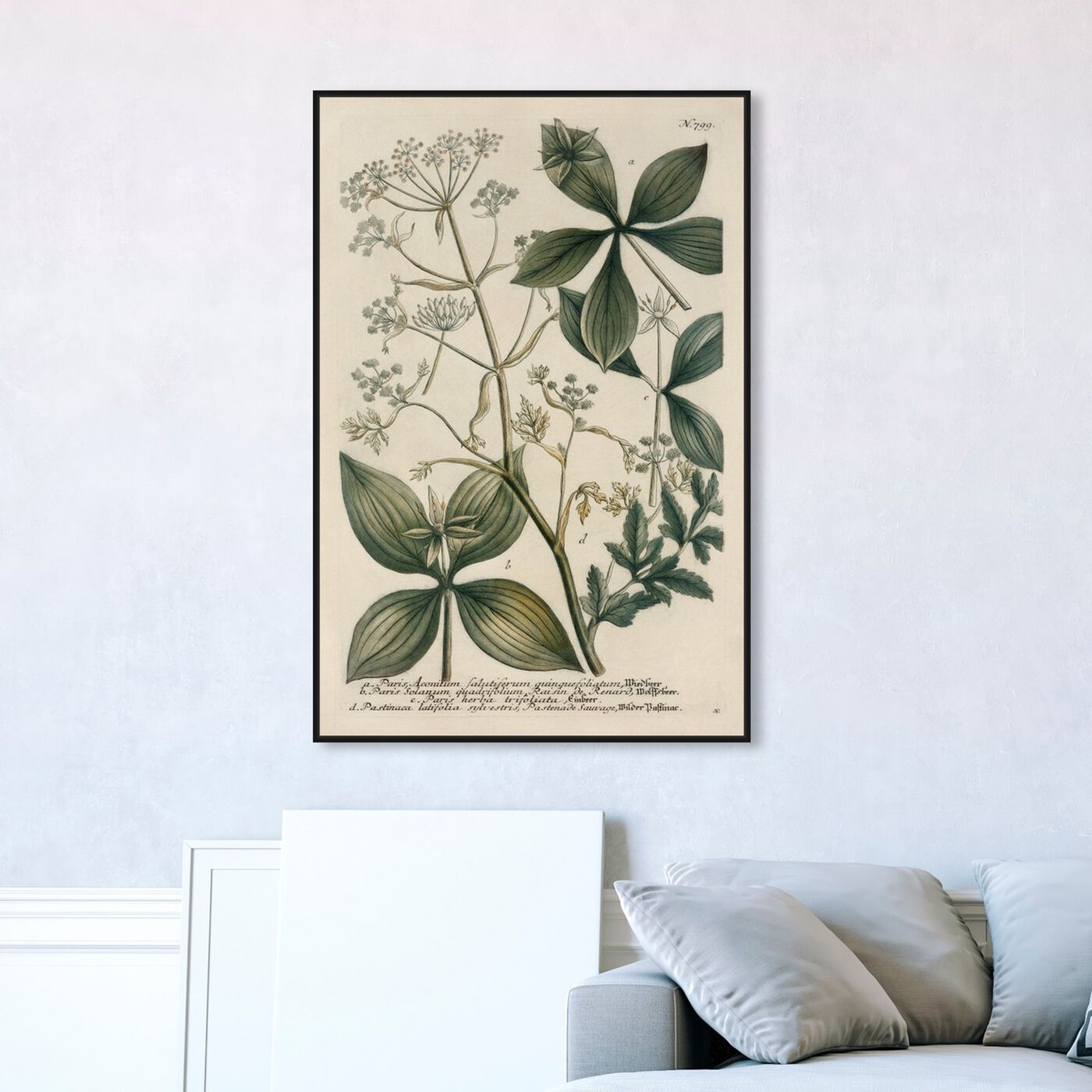 Hanging view of Herbs featuring floral and botanical and botanicals art.