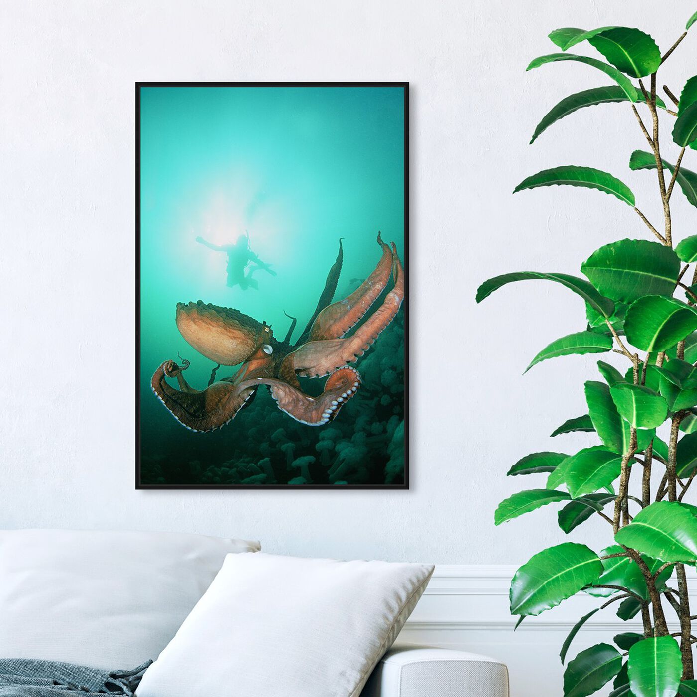 Hanging view of Giant Pacific Octopus by David Fleetham featuring nautical and coastal and marine life art.