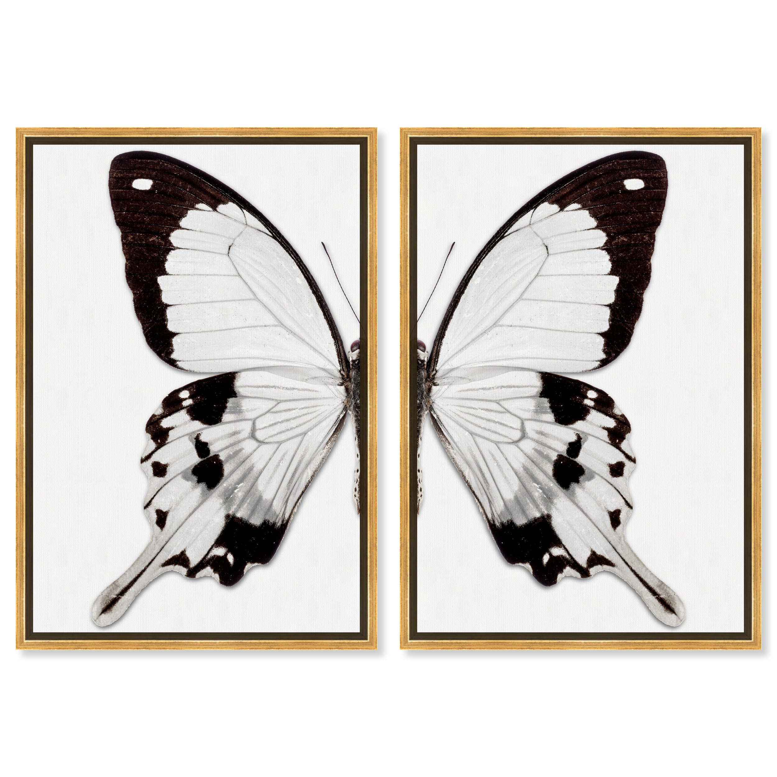 Monochrome Butterfly I & II Wings Wall Art Set | Oliver Gal