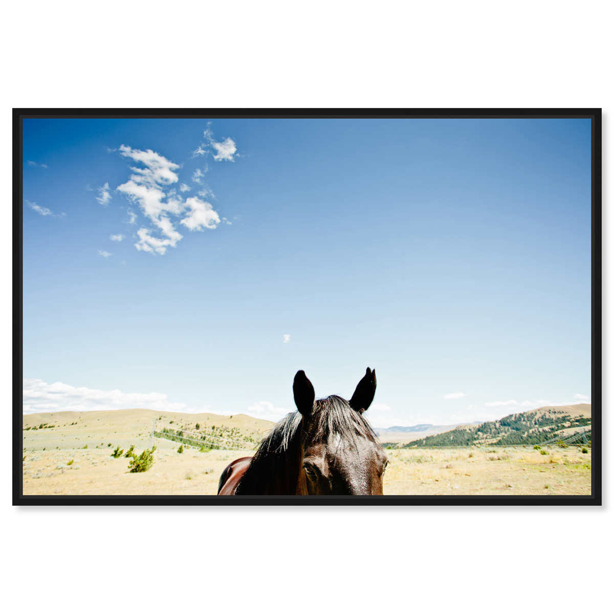 Chase Horse by Cassandra Eldridge I | Wall Art by Oliver Gal