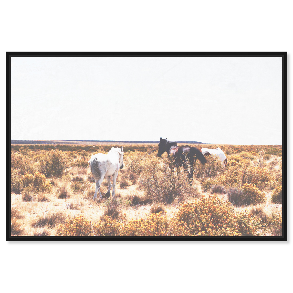 Southwest Horses | Animals Wall Art by Oliver Gal